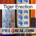 Tiger Erection 39